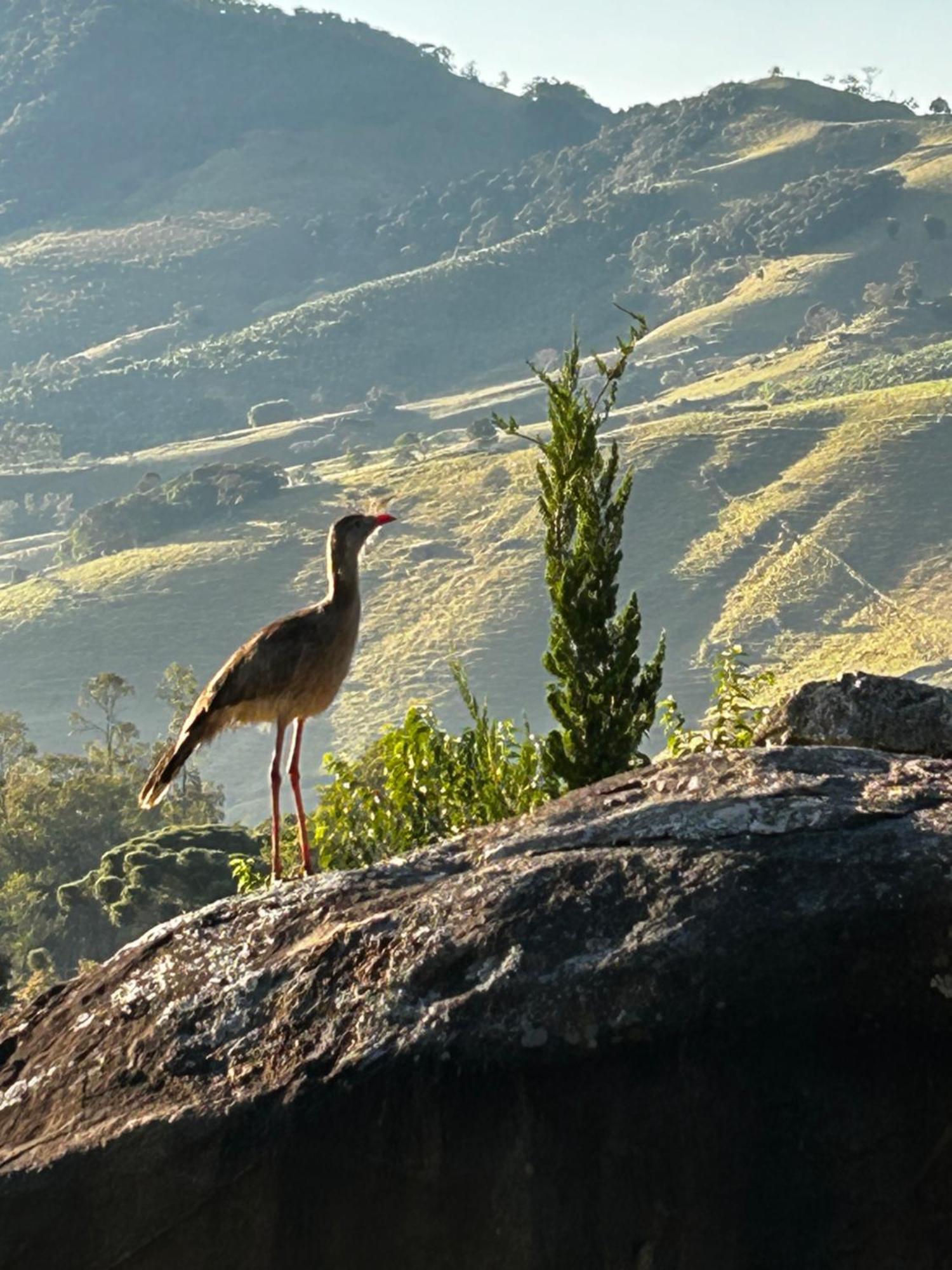 Pousada Terra Dos Passaros Sao Bento do Sapucai Εξωτερικό φωτογραφία